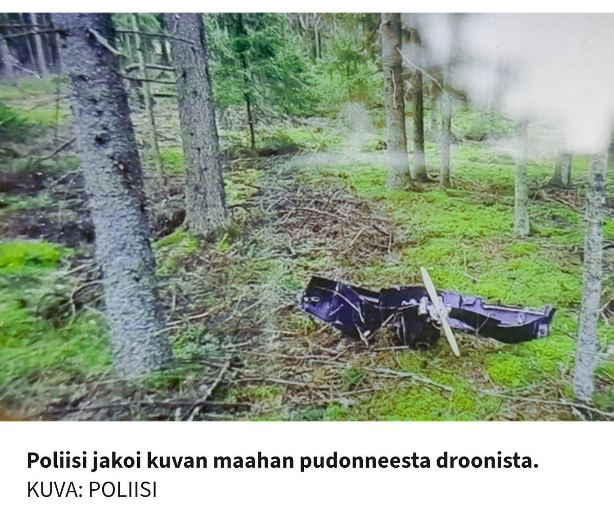 Kimmo Kautio tweet media