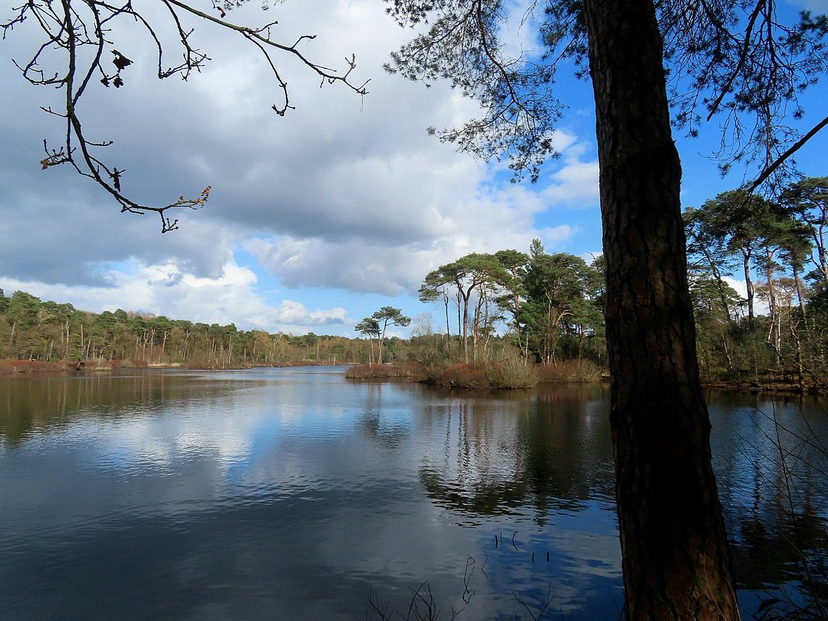 Iet 🌍 tweet media