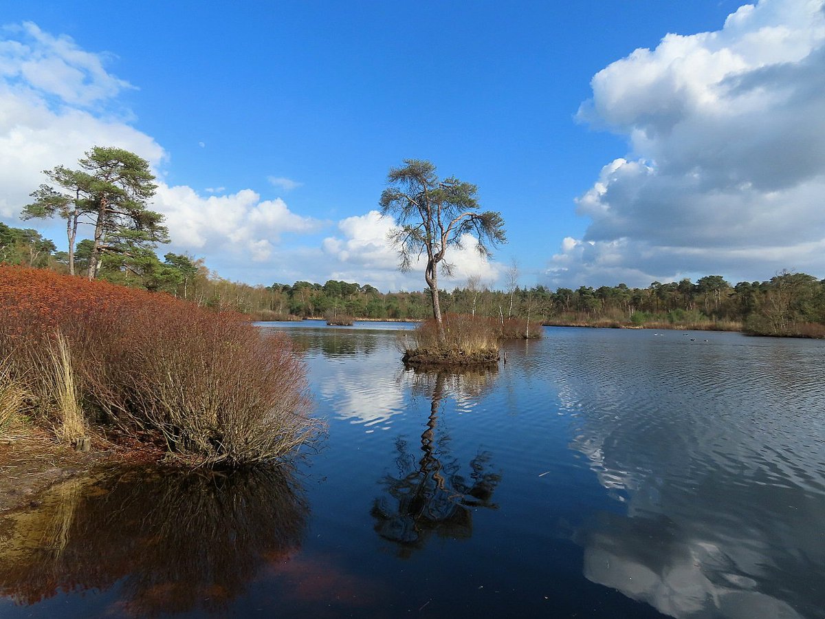 Iet 🌍 tweet media