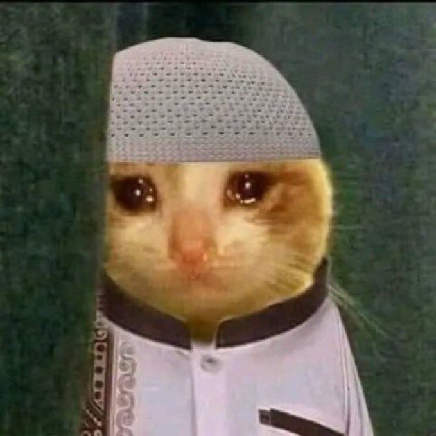 𝚆𝙸𝙻𝙻𝙸𝙰𝙼𝚂.𝚏𝚘𝚐𝚘 tweet media