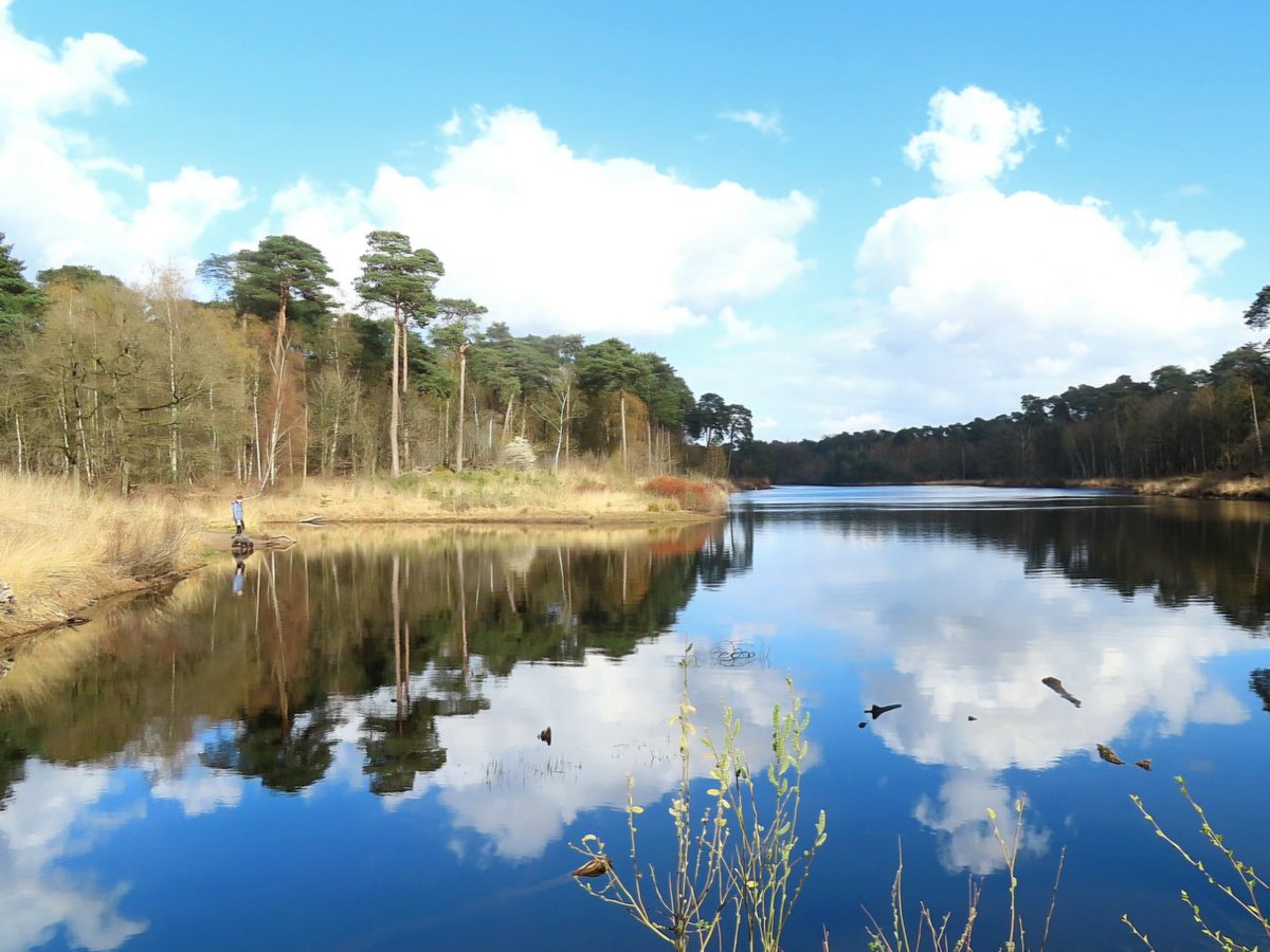 Iet 🌍 tweet media