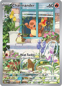 ZEi ⭐️🐾 tweet media