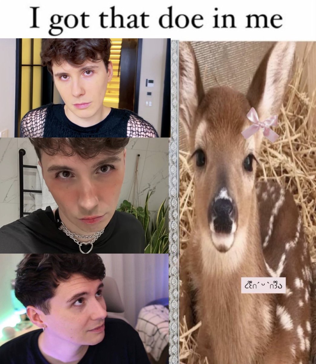 mads (@dippidypippidy) on Twitter photo 