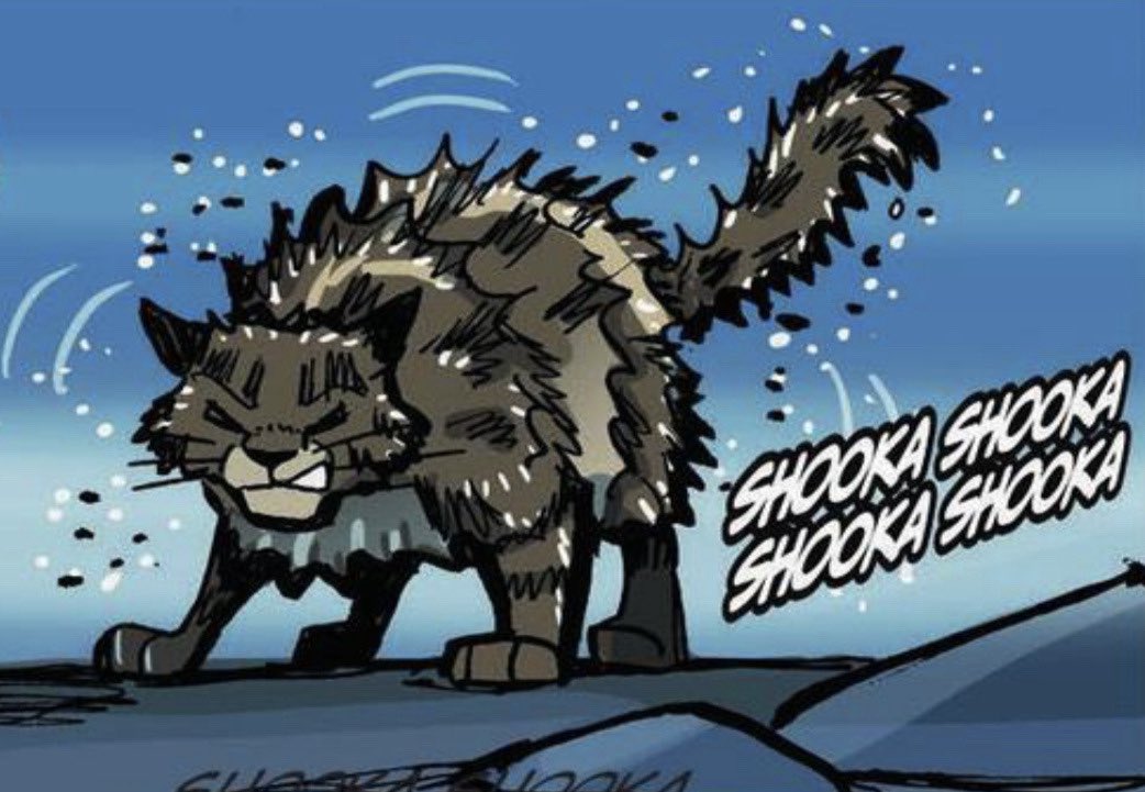 xxJaylight_Nightxx tweet media