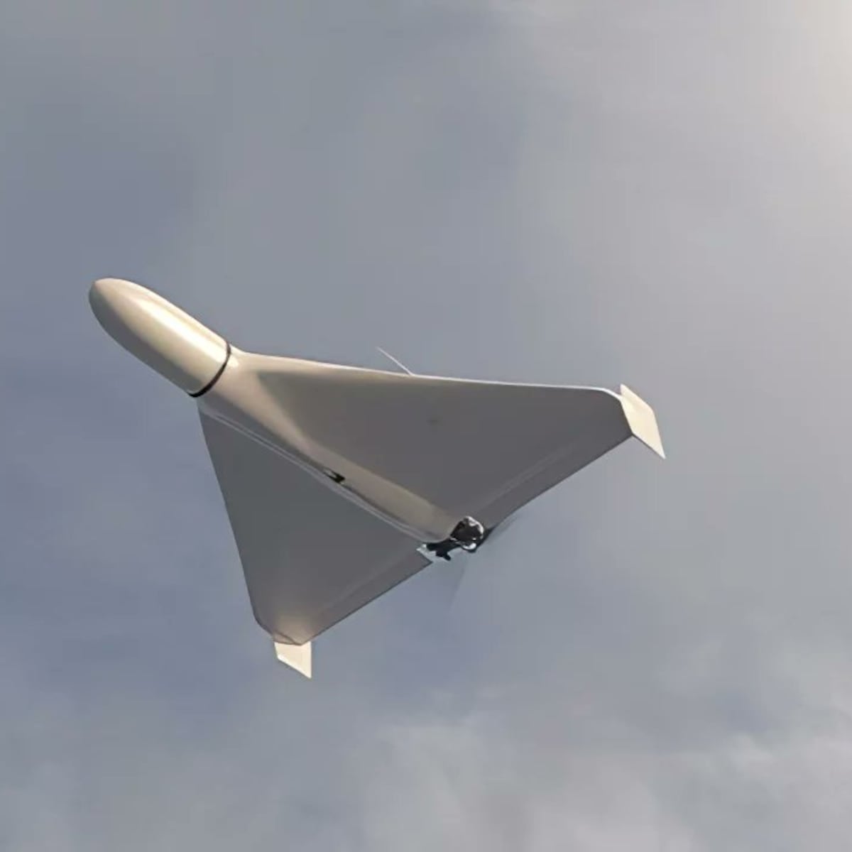 🌐EL GRAN DESPERTAR🌐 tweet media