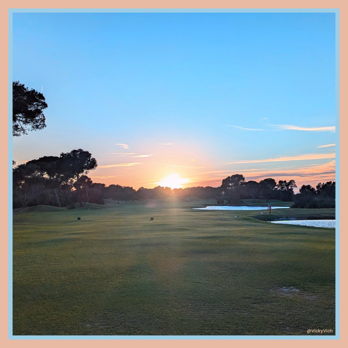 Victoria Vich tweet media