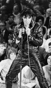 Janette Scott 🇨🇦🇩🇰 tweet media