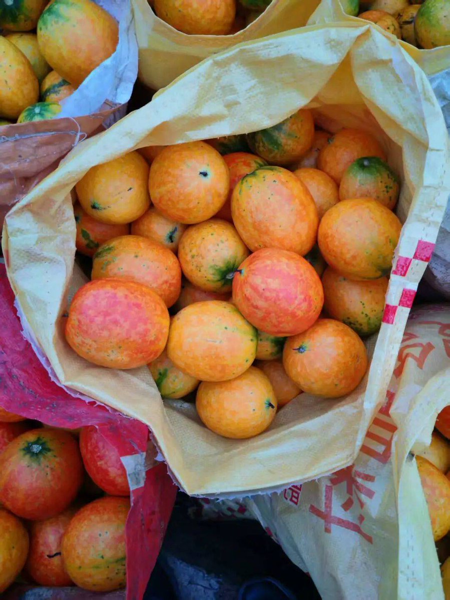 Lewis Wilkinson tweet media