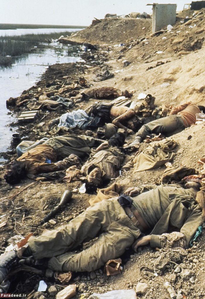 DamDam 🇮🇷 tweet media