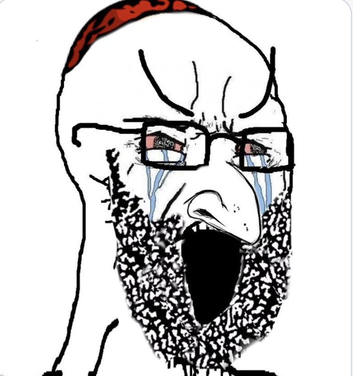 snapsorg tweet media