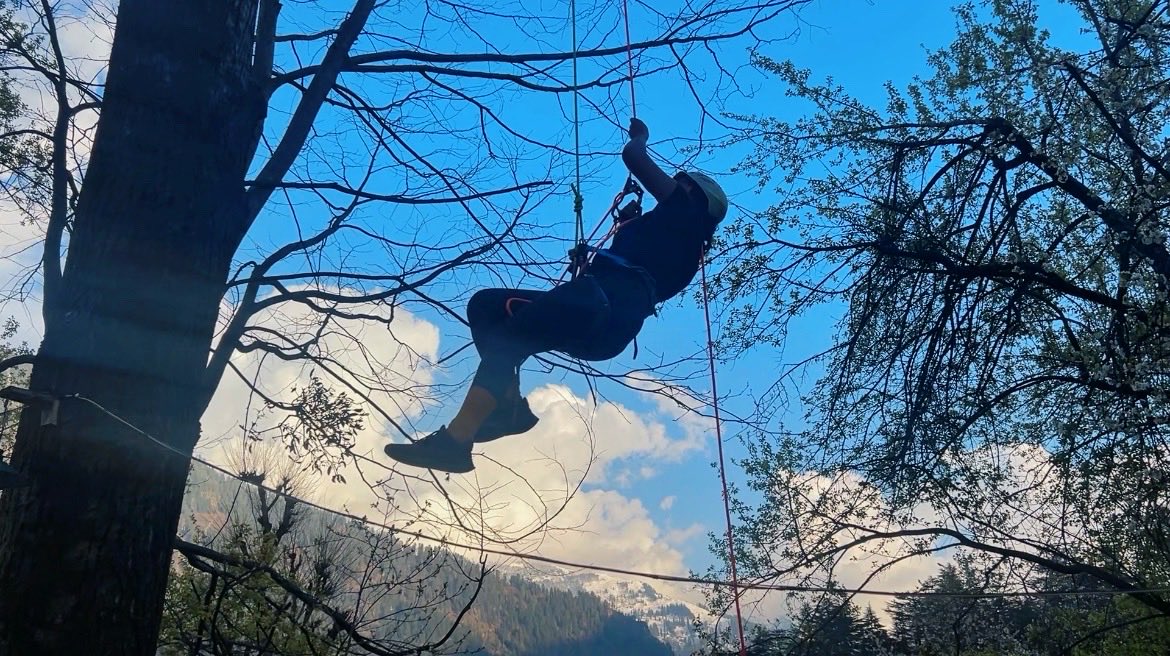 Ameesha Singh tweet media