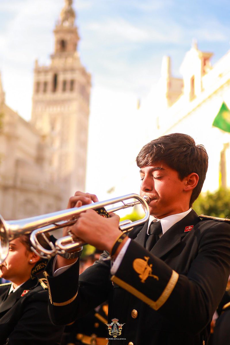 Virgen de los Reyes tweet media