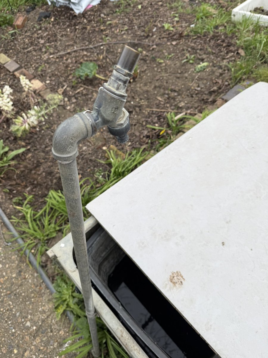 lillai23's tweet image. The mystery of who stole the water tap handle #allotment