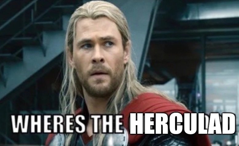 𝙶𝚎𝚗𝚎𝚛𝚊𝚒𝚍𝚎𝚛⚡ tweet media