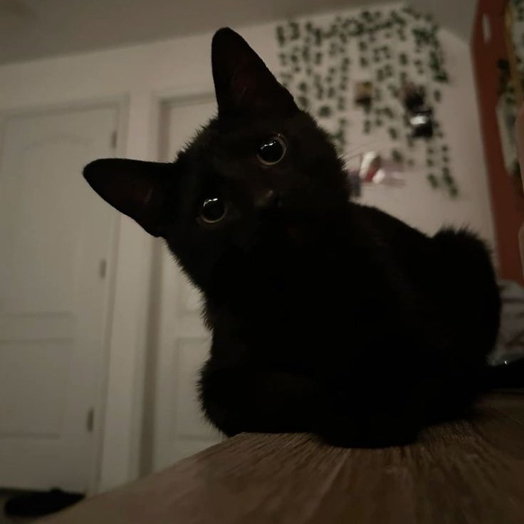 𝙲𝚑𝚛𝚒𝚜 tweet media