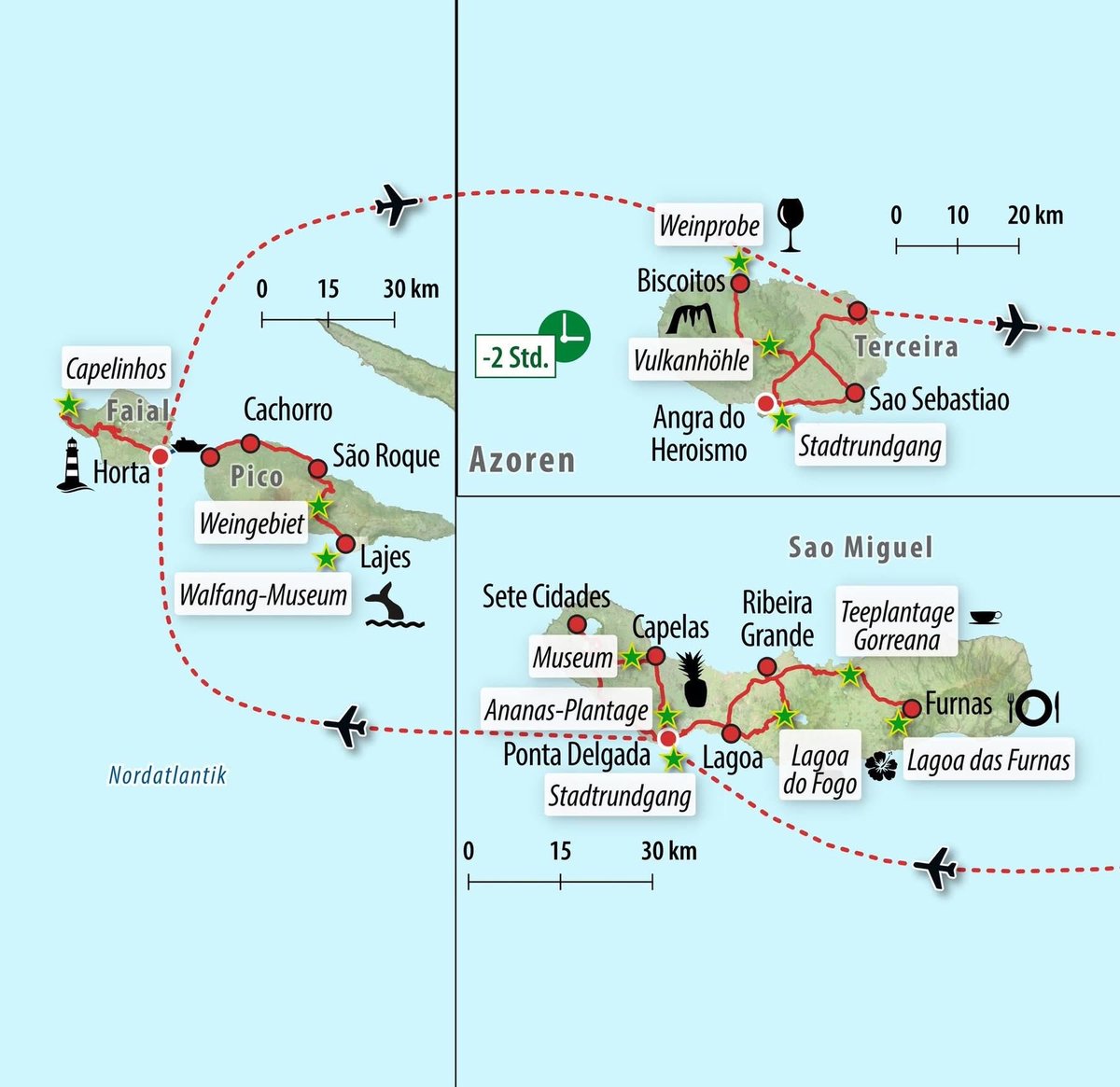 Littlewisehen tweet media