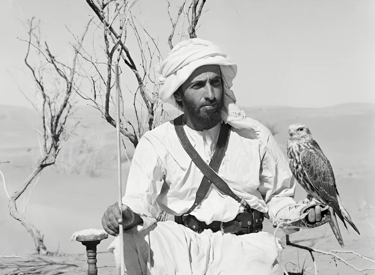 عزيز 🇸🇦 tweet media