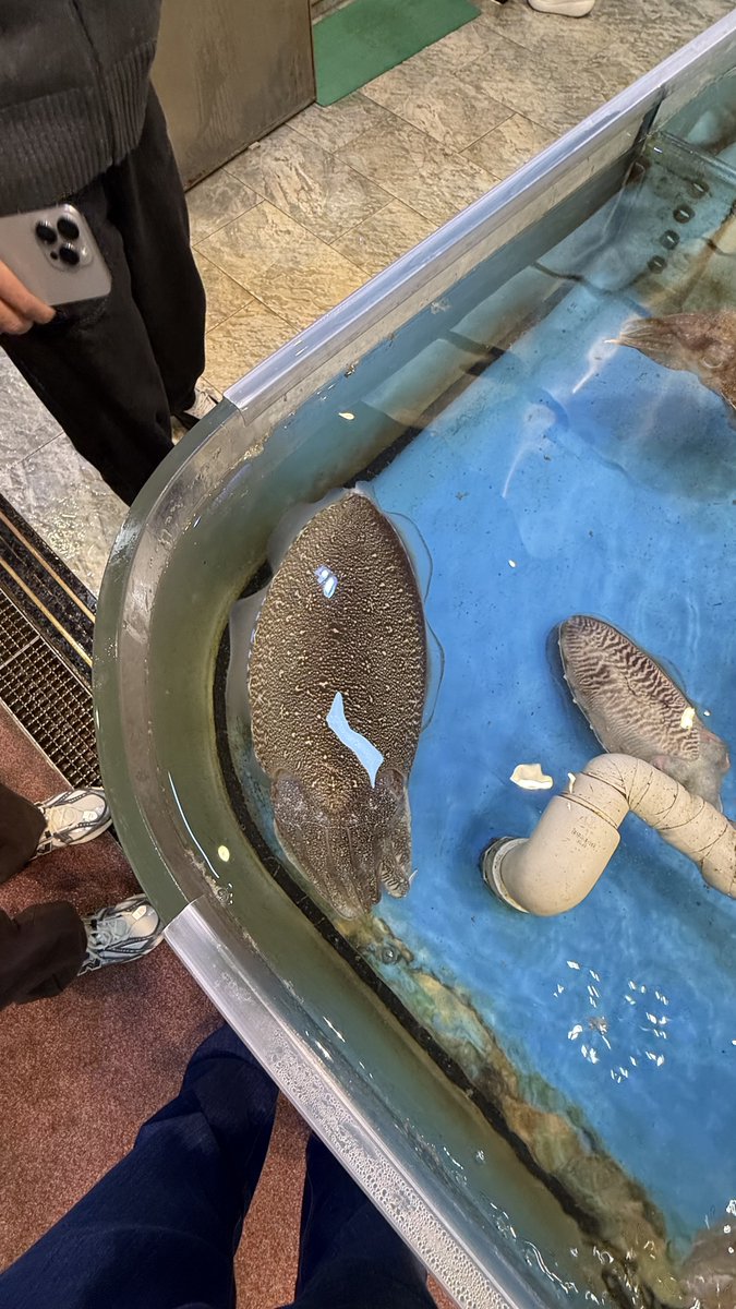 Keens Design & Marketing tweet media