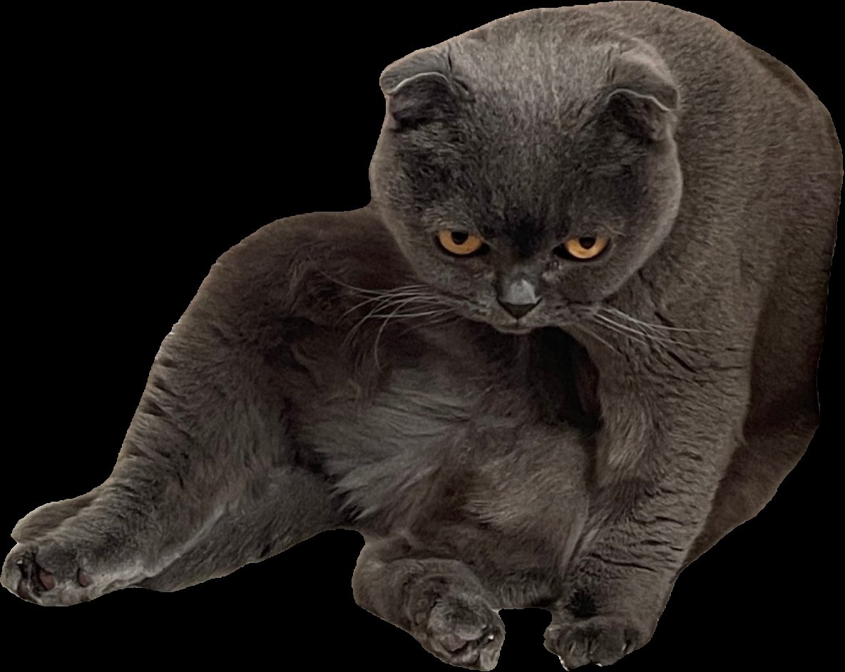 hazel 𖹭 tweet media