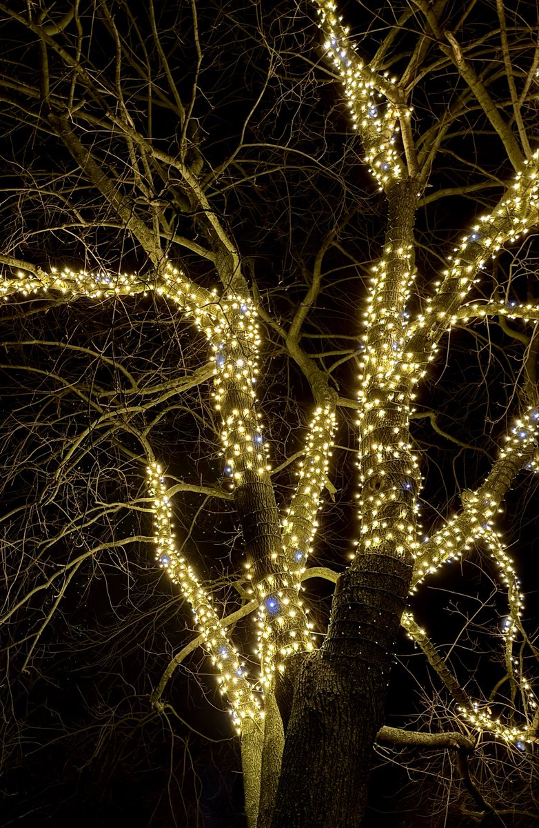 🐹 (햄) tweet media