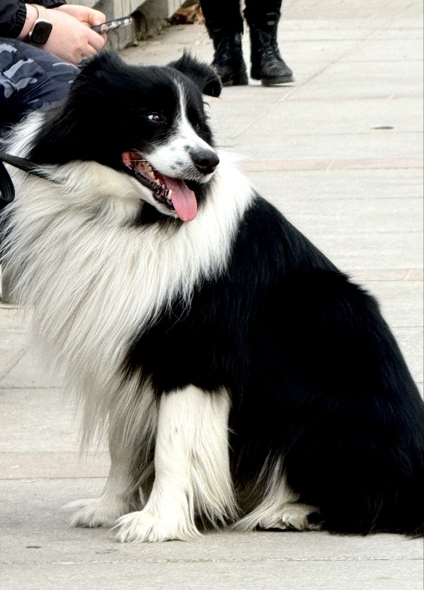 🐹 (햄) tweet media