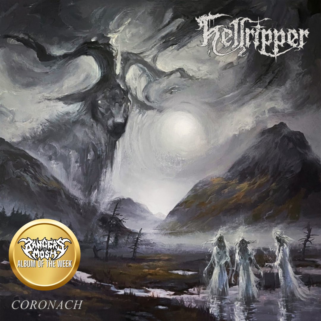 Bangers & Mosh Podcast tweet media