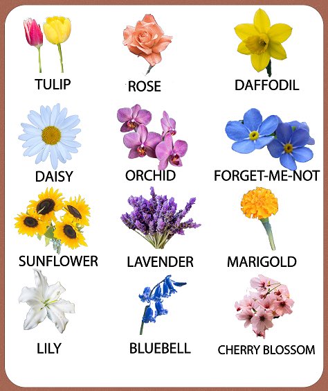Stole this from my tl (I forget where, I'm sorryyy 😭), but I'm feeling a smidge better, and I'd like to do something fun!! 

Drop your OCs and I'll assign them a flower 🥰💐✨