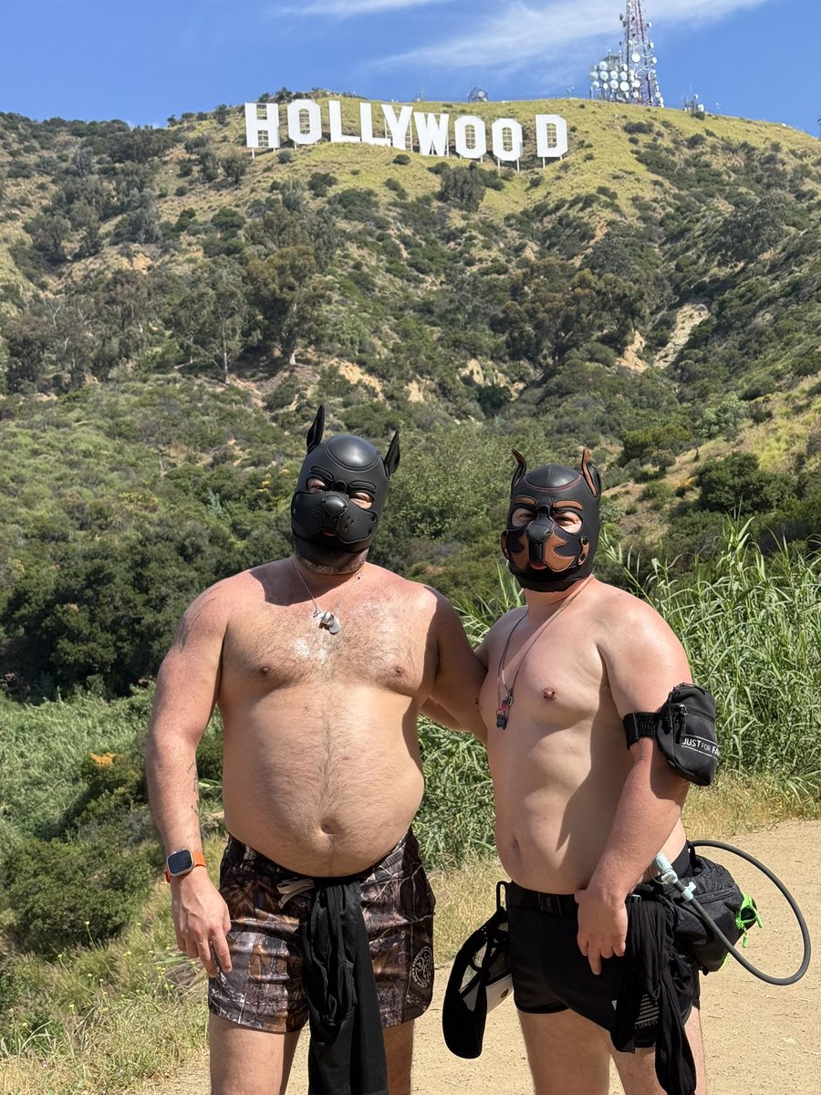 pup.kato tweet media