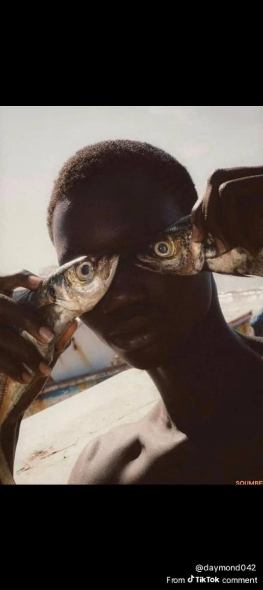 prodbybrave tweet media