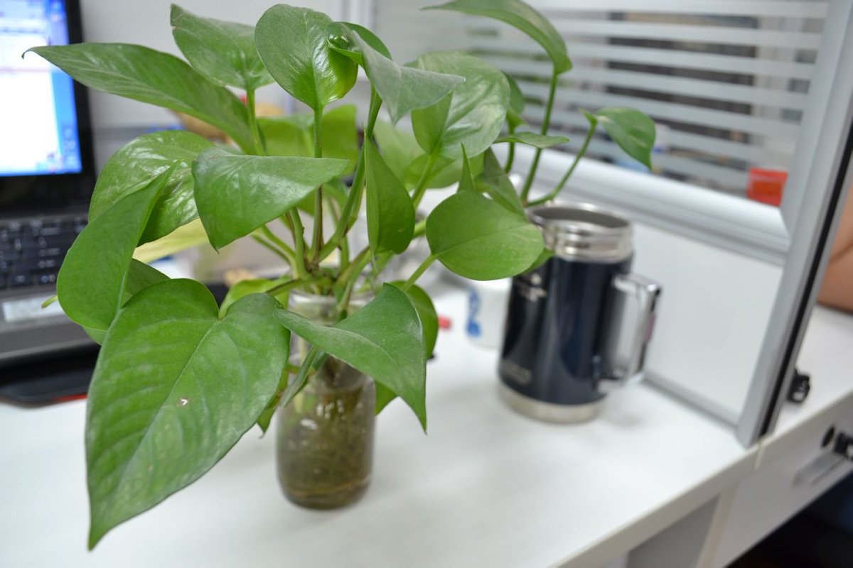 justin judy tweet media