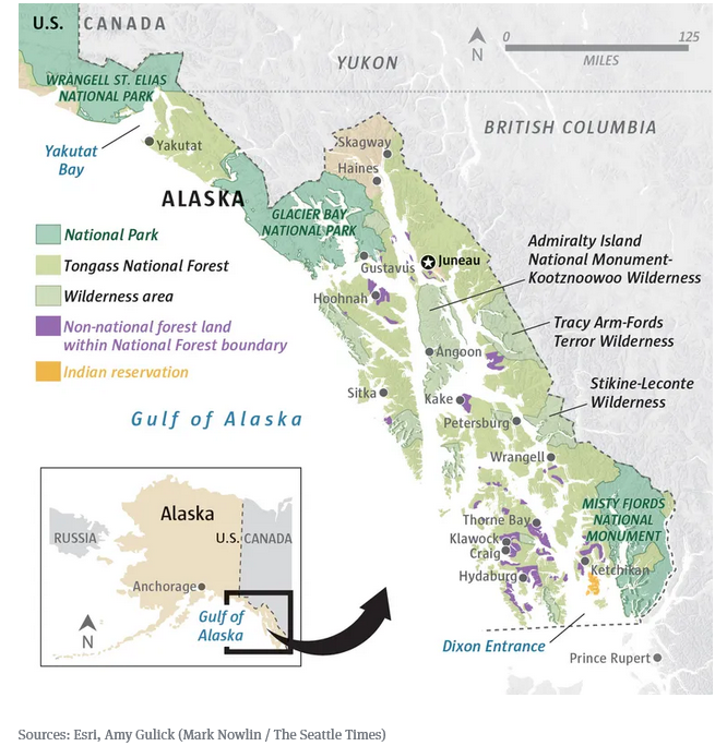 Kim M.🌈🐘🦋 tweet media
