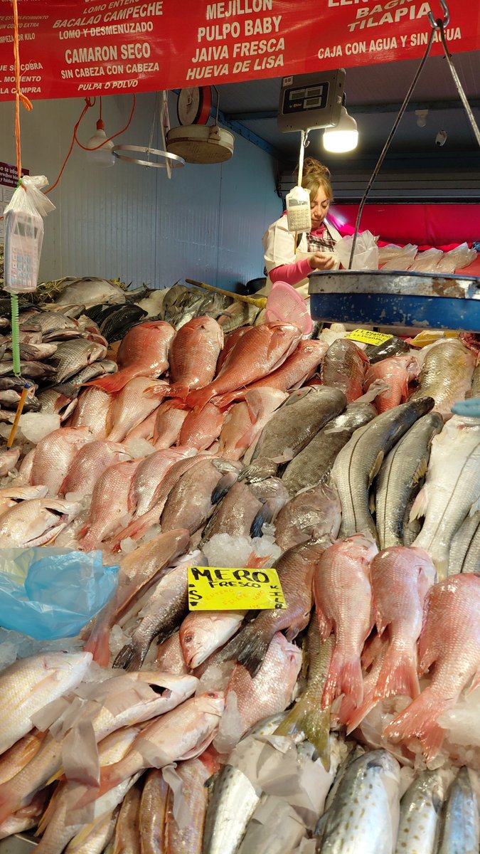 Lic. Pachi tweet media