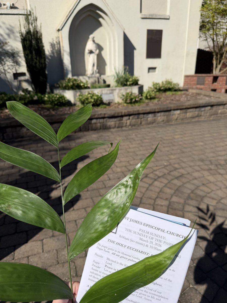 zachary clark tweet media