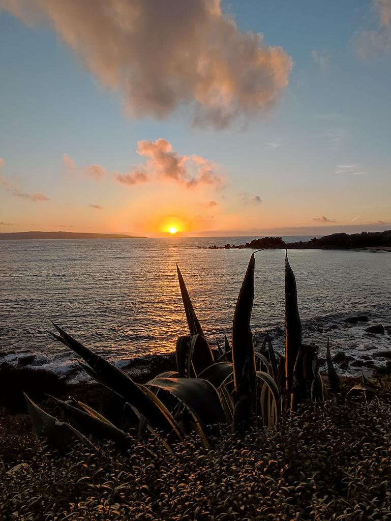 Cristina tweet media