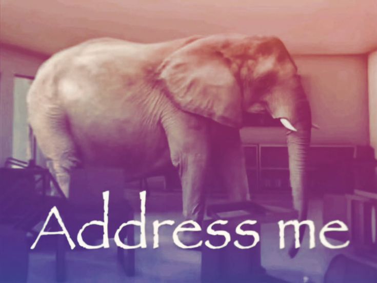 Anto🍓 tweet media