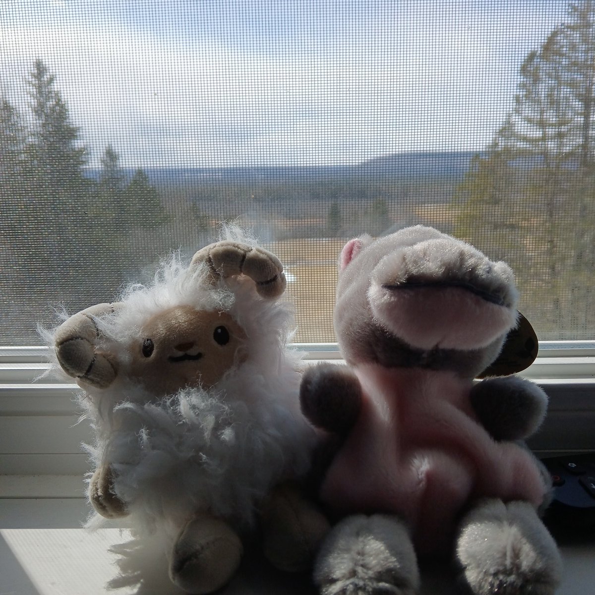 ✧ Mercy 🤍🪻˖°. emergency coms 🇨🇦《૮ • ✧ • ა》 tweet media