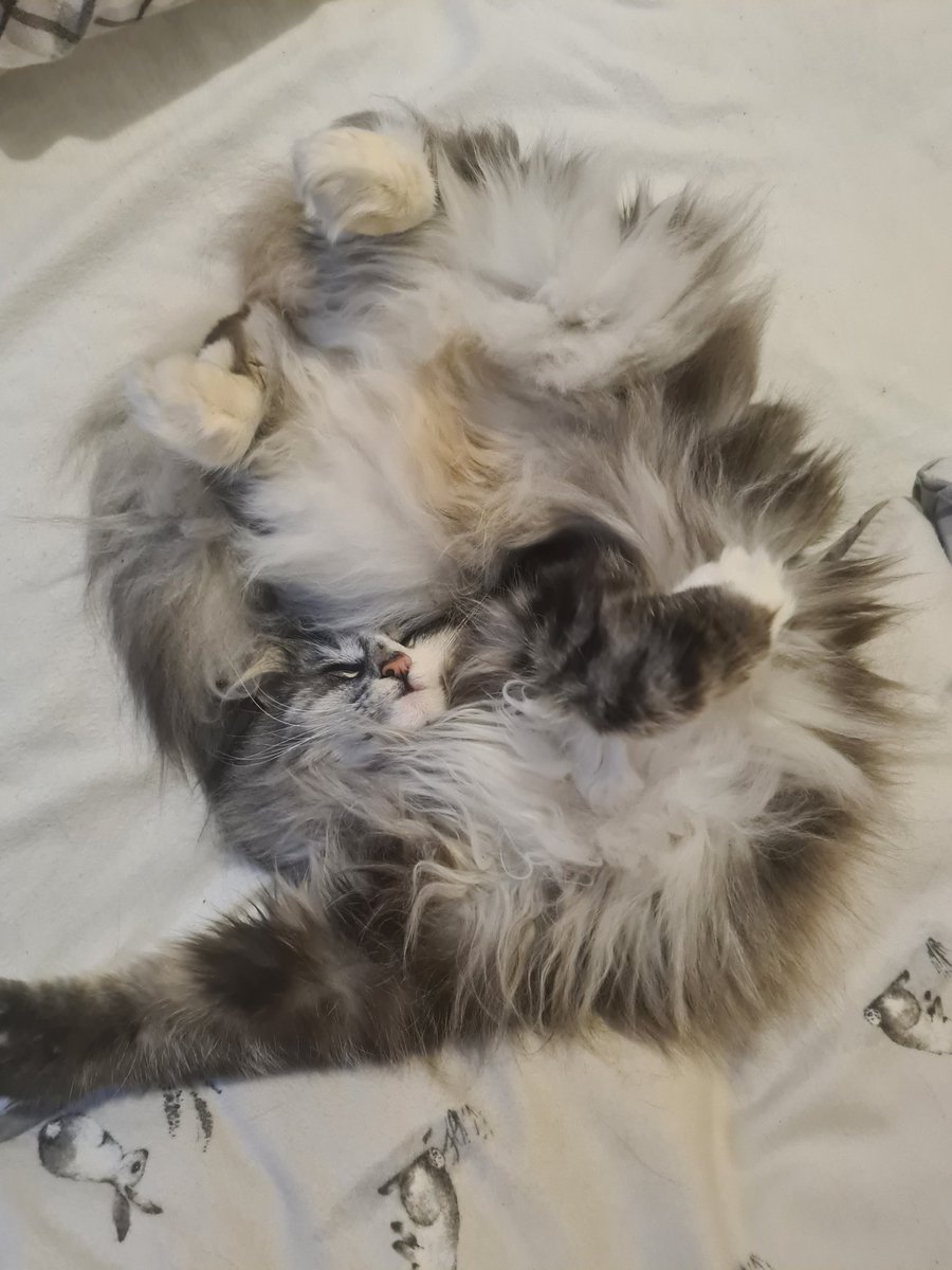 What position even is that 🤣