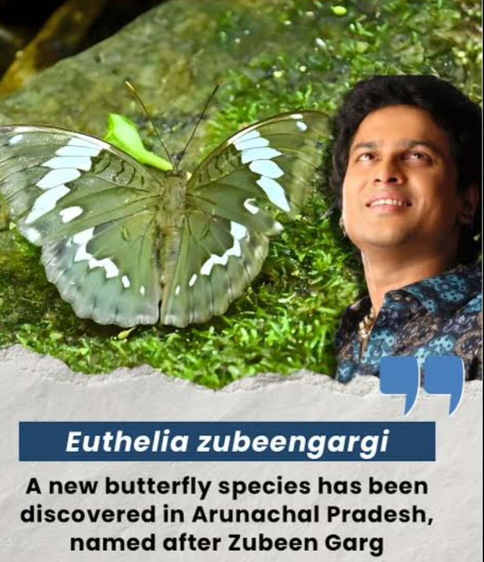 Zublee Baruah tweet media