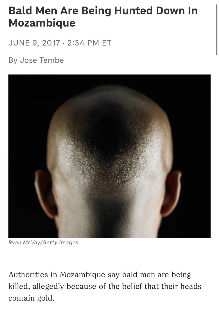 🤍 𝕂𝕚𝕥𝕥𝕖𝕟 🤍 tweet media