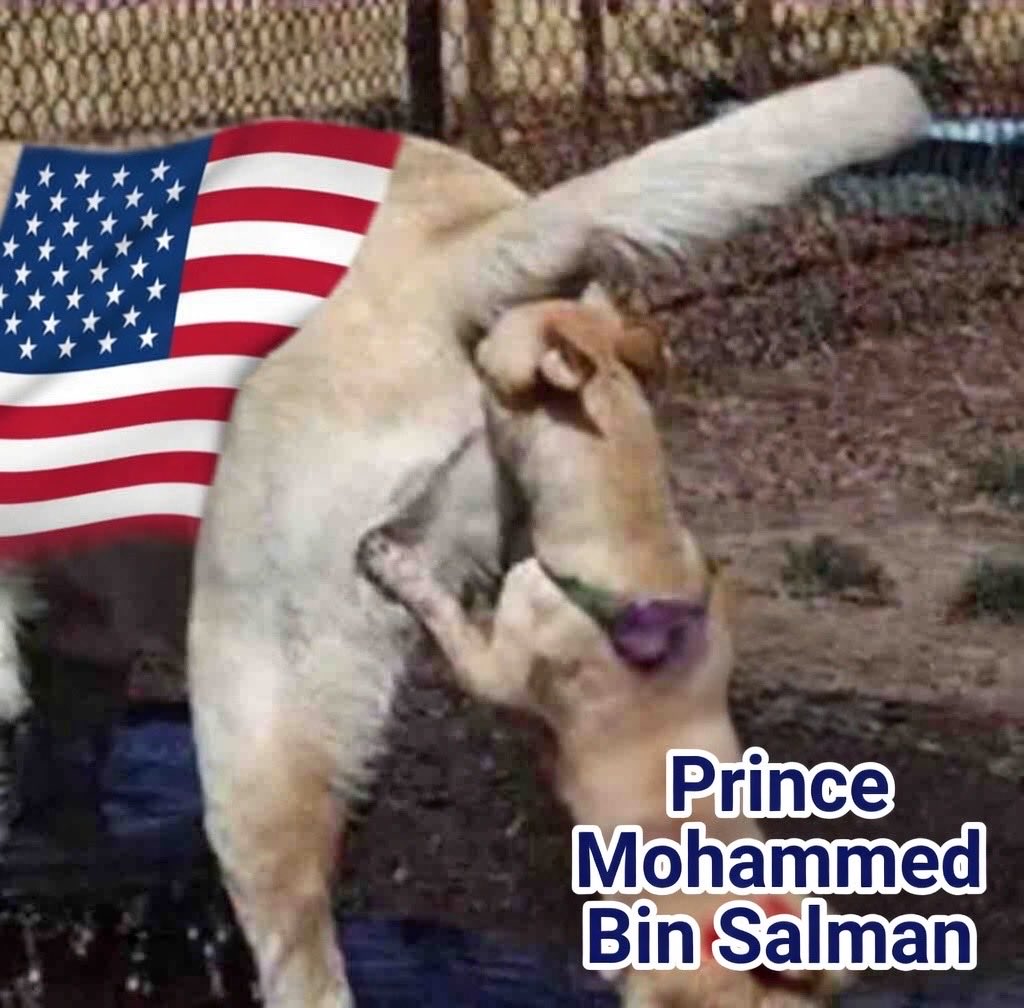 D.ramzi bachiri tweet media