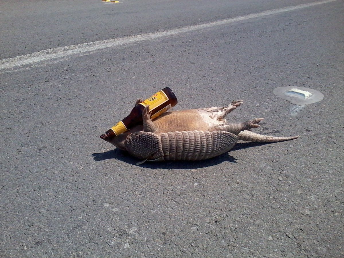 Laura 💎💎💎 tweet media