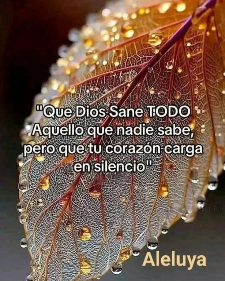 Lydia Esther tweet media