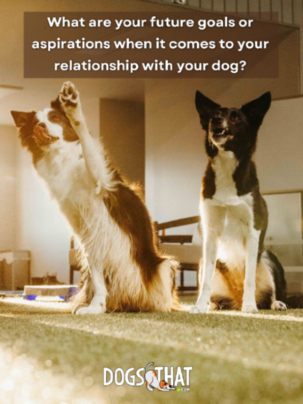 Susan Garrett tweet media