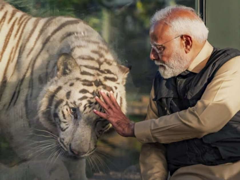 Anuj Shukla tweet media