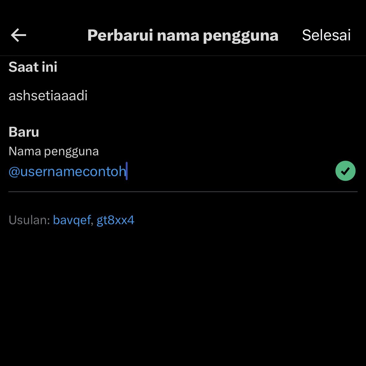 𝘈𝘴𝘩 𝘚𝘦𝘵𝘪𝘢𝘥𝘪 tweet media