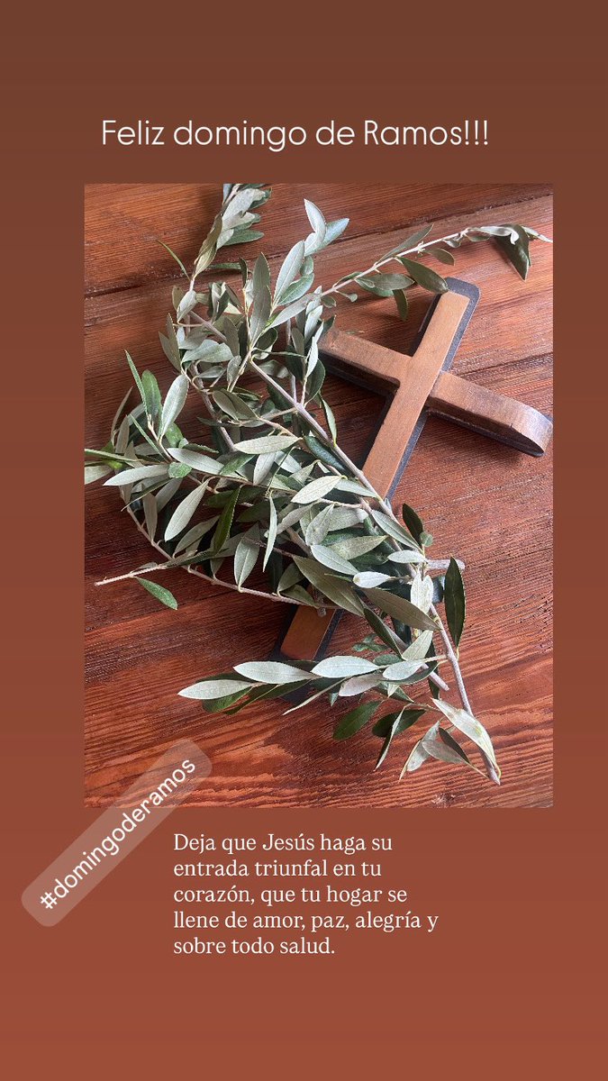 nancy monzon tweet media