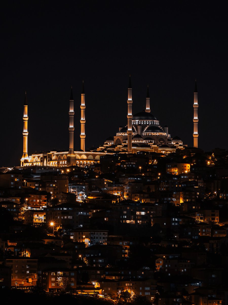 Destination Diaries tweet media