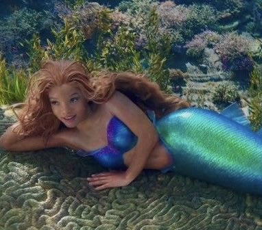 ayla is seeing niall 🪩 tweet media