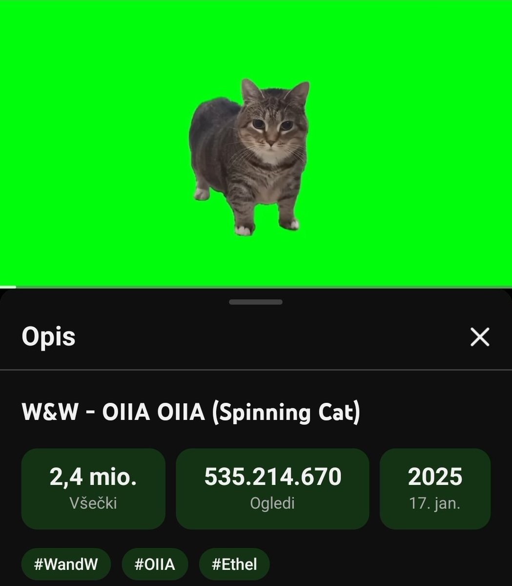 Tinki♻️🐱 tweet media