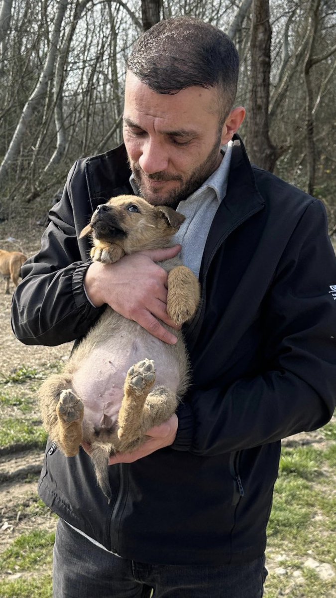 Bir Baba Var,
Kızı Hızlı Giden Bir Kamyon Şöförü Tarafından 
Ezilerek Öldürülüyor😔
AMA,Baba Suçu 
Köpeklere Atıyor…
SONUÇ🤔
Baba Tazminatlar Ve Bağışlarla Milyon 
Dolarlık Servet 
Sahibi Oluyor.
Milyonlarca Masum Köpek Bu Algıyla Katlediliyor.
Kamyon Şöförümü❓
Hiç Ceza